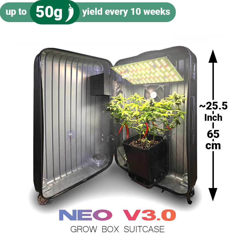 All-Inclusive Package: Bonsanto Mini Grow Box Suitcase Discreet Plant Growing!