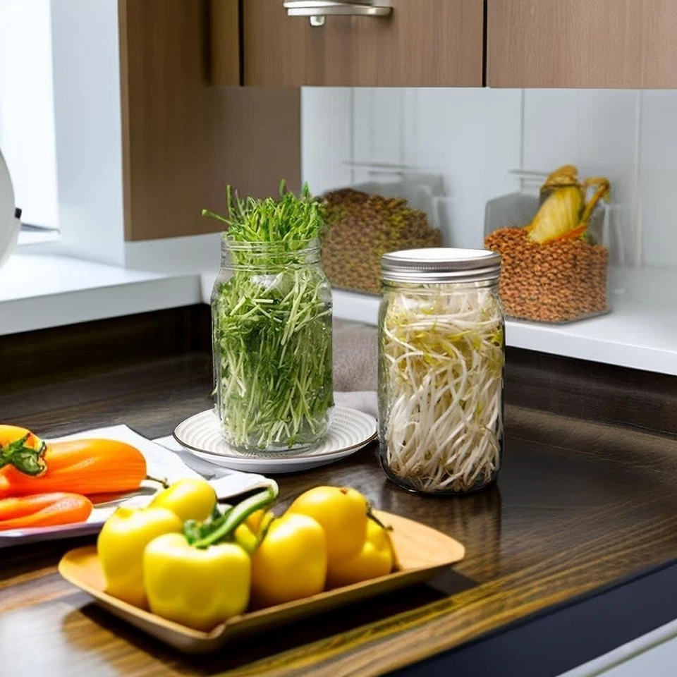 Kit de germinación Lulonpon, kit de tarro de germinación de semillas de una pieza, cuarto de galón de boca ancha Maso Foto 3 de 4