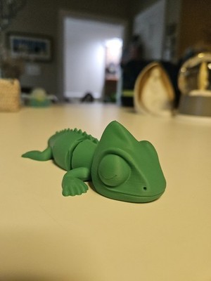 3D Chameleon Flexi Toy. Cute!!