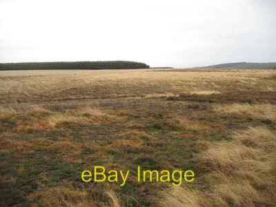Photo 6x4 Lees Hill Polwarth Seen across the Foul Burn. A gentle rise in  c2007