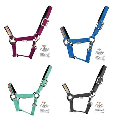 EQUEST Halfter Uno Plus Fashion Pummeleinhorn - vernickelt