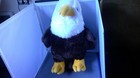 Fiesta Promo Bald Eagle Plush Large 16.5" Jumbo Bird Stuffed Animal #A57508