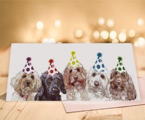 cockapoo birthday