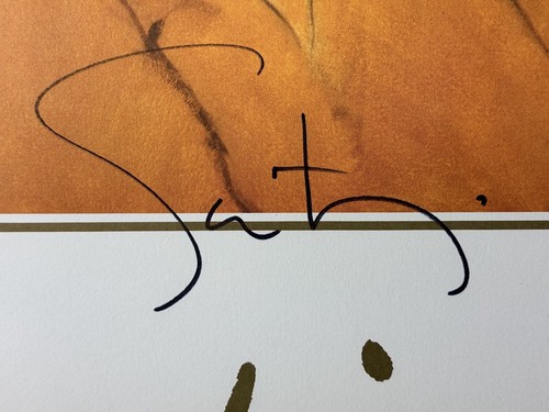 Ramon Santiago "SABRINAS" Kunstdruck, seltene handsignierte 23x32" Litho. Ausgezeichnet - Bild 4 von 14