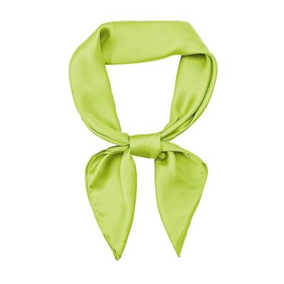 RIIQIICHY Head Scarf Like Silk Bandana Satin Hair Scarf for Women