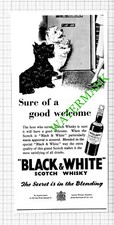 Black and White Whisky Scottie Dog Advert  - 1953 Cutting