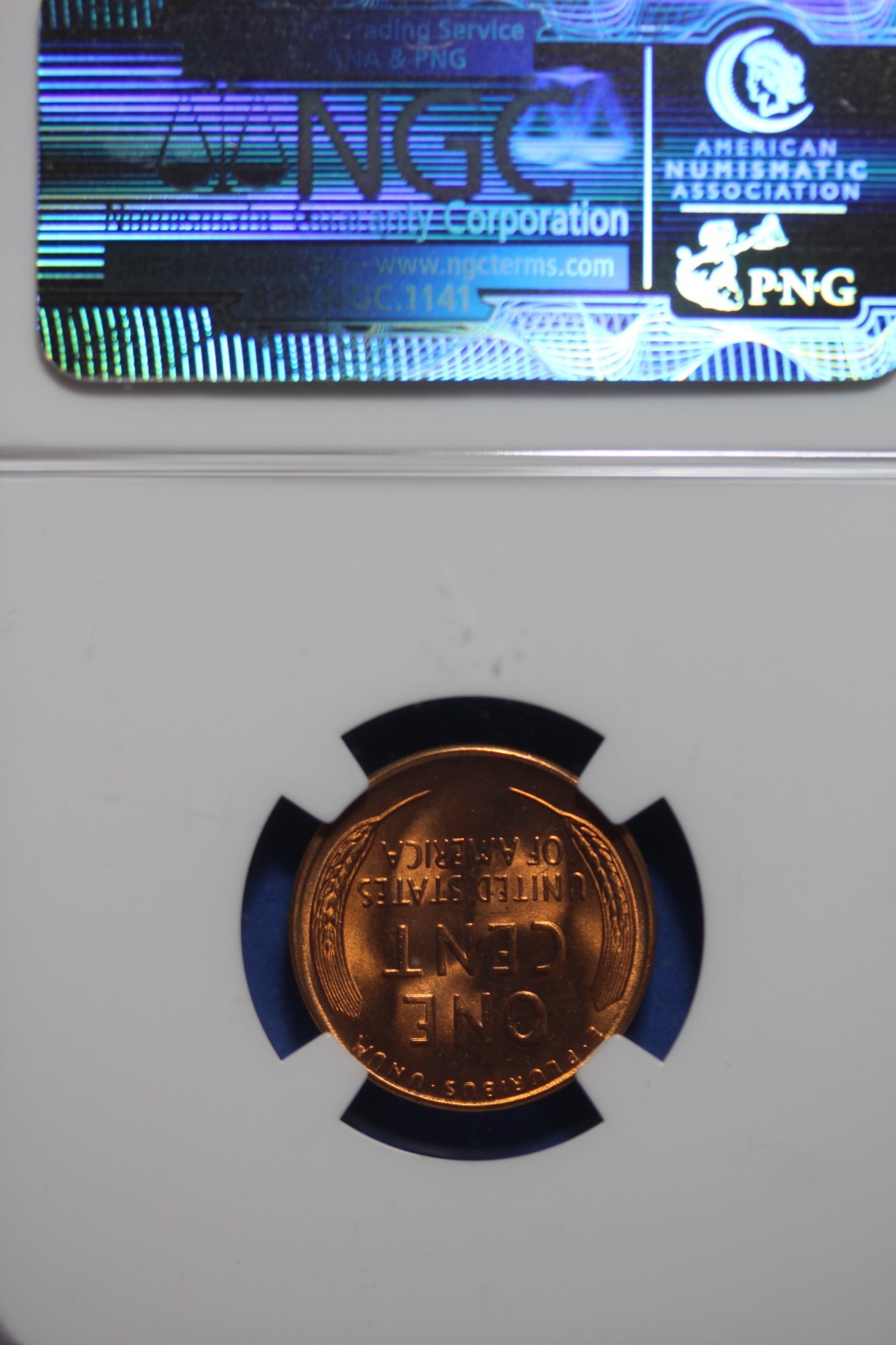 Picture 2 of 2