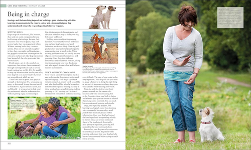 The Dog Encyclopedia: the Definitive Visual Guide - Picture 12 of 12