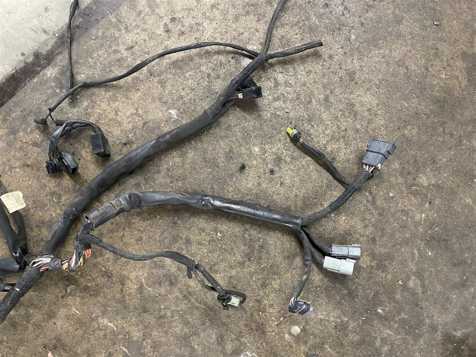 Arnés de cableado principal OEM Harley Davidson Sportster XL 1200 883 06 2006 Foto 3 de 4