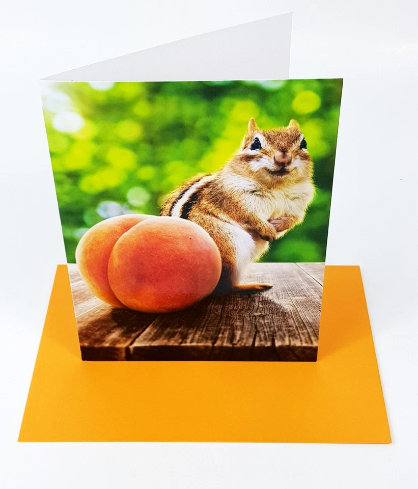 AVANTI GET WELL CARD "Hope You're Feeling Peachy Soon!" Squirrel Animal Peach  - Image 2 of 4