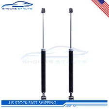 Pair Rear Shocks & Struts For 2011-2019 Ford Fiesta 2011-2014 Mazda 2 1.5L 1.6L