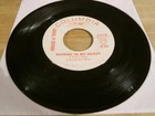 Bruce & Terry 45 - Raining in My Heart - Columbia 4-43378  White label promo