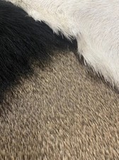Natural Fly Tying Materials Deer, Pronghorn, ...