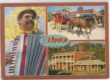 Australia VICTORIA VIC Bridge Hotel Carriage Accordion ECHUCA NCV EC76 postcard