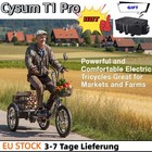 NEW Elektro-Dreirad Lastenrad mit Korb 48V 3-Rad E-Trike  Lager in Deutschland