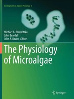 Michael A. Borowitzka (U. A.) | The Physiology Of Microalgae | Taschenbuch | X