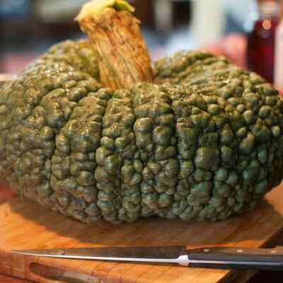 Zucca Marina Di Chioggia 5 Grammi Semi Varieta Antica Sementi Professionali Ebay