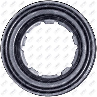 Santech 10 Pk Fits: Chrysler Metal Gasket - Rv2 Comp Suction