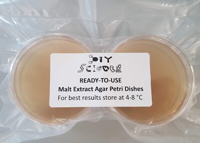 Leichter Malzextrakt Agar (LMEA) Petrischalen x6 (vakuumversiegelt & gebrauchsfertig)