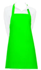 Cutest Ever Green Vinyl Waterproof Apron Durable Lightweight Dish Grooming 