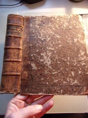 Plinius Naturgeschichte Zweiter Band von 1765 Johann Daniel Denso: