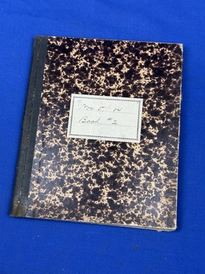 1904 Druggist, Dry Goods INVENTORY Book 66 Full Pgs Medicine, General Store
