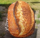 Bild 4 von 8