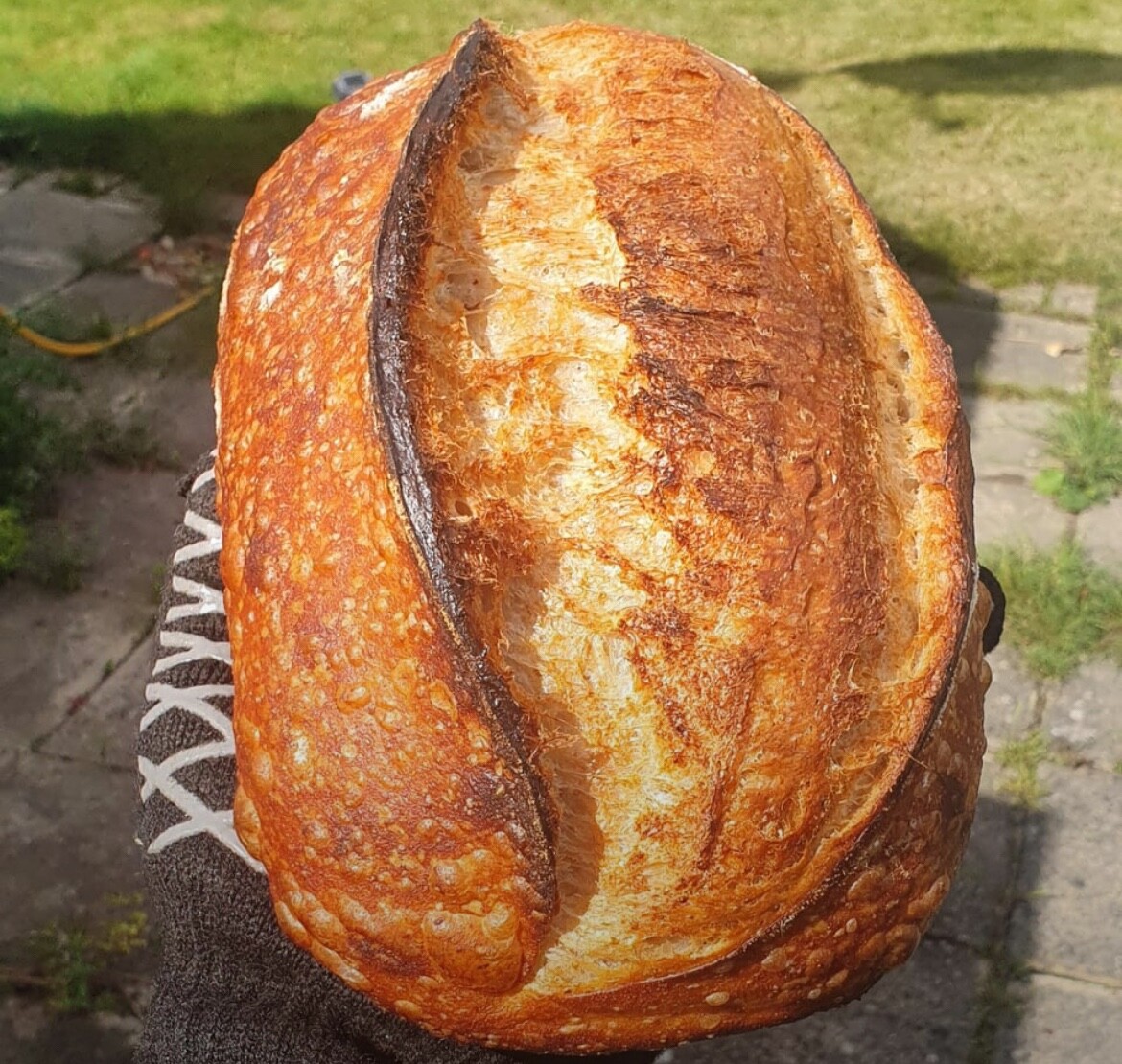 Bild 4 von 8