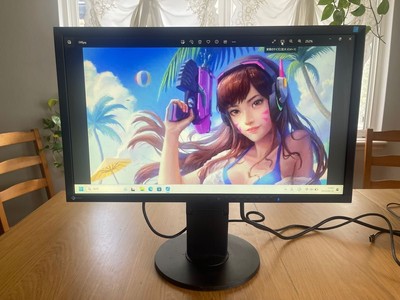 EIZO FlexScan EV2316W 23-inch wide full HD | eBay