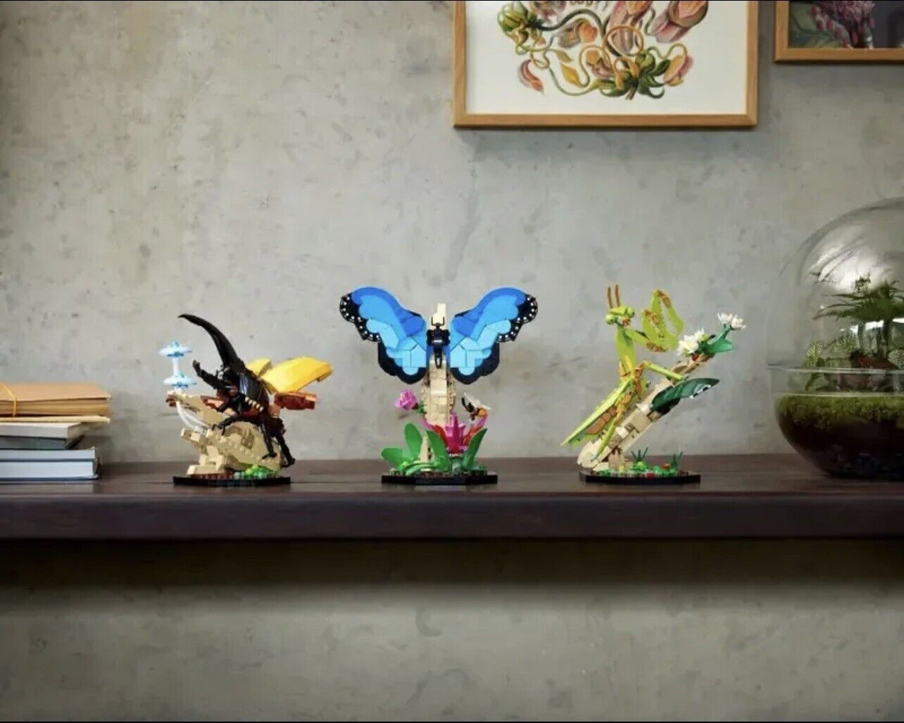 LEGO IDEAS 21342 The Insect Collection Brand New Sealed Discount Code Available - Picture 3 of 9
