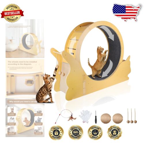Modern 35.4-Inch Cat Wheel with Scratching Board – Ideal for Health & Fitness