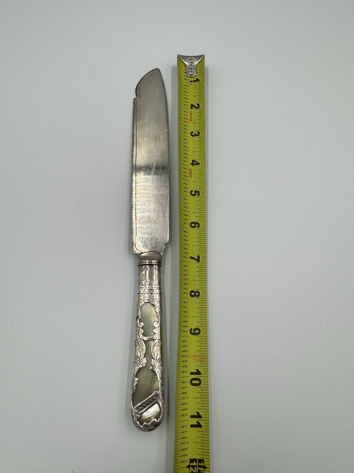 Foto 11 di 12