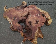 Mappa Burl Slab Live Edge DIY Crafts P24-1997