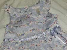 NWOT Janie and Jack Girls 3/3T VIOLET MEADOW Vintage HTF Dress Lined Flowers
