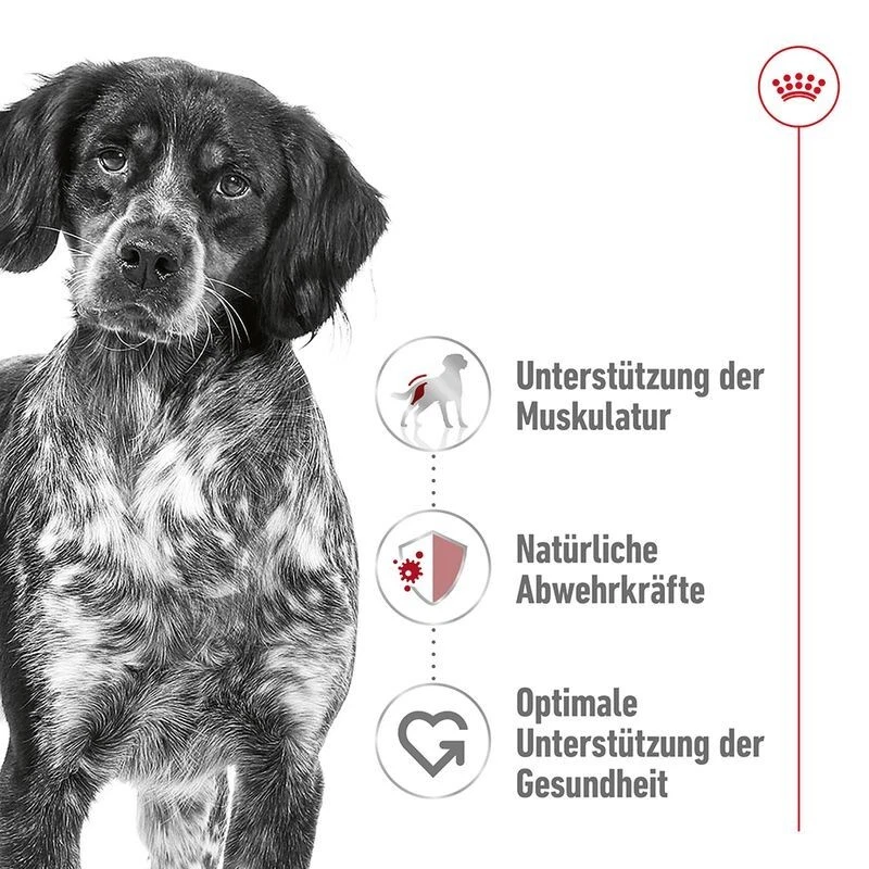 Royal Canin Medium Adult Hundefutter 15kg Trockenfutter Mittelgroße Hunde - Bild 2 von 4