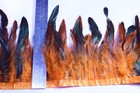 Bild 72 von 130