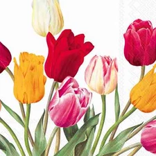 Paper Luncheon Napkins Tulip Red Pink Yellow Flowers Party Table Decor 6.5 inch