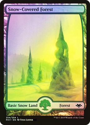 MTG FOIL Snow-Covered Forest Full Art - Modern Horizons #254