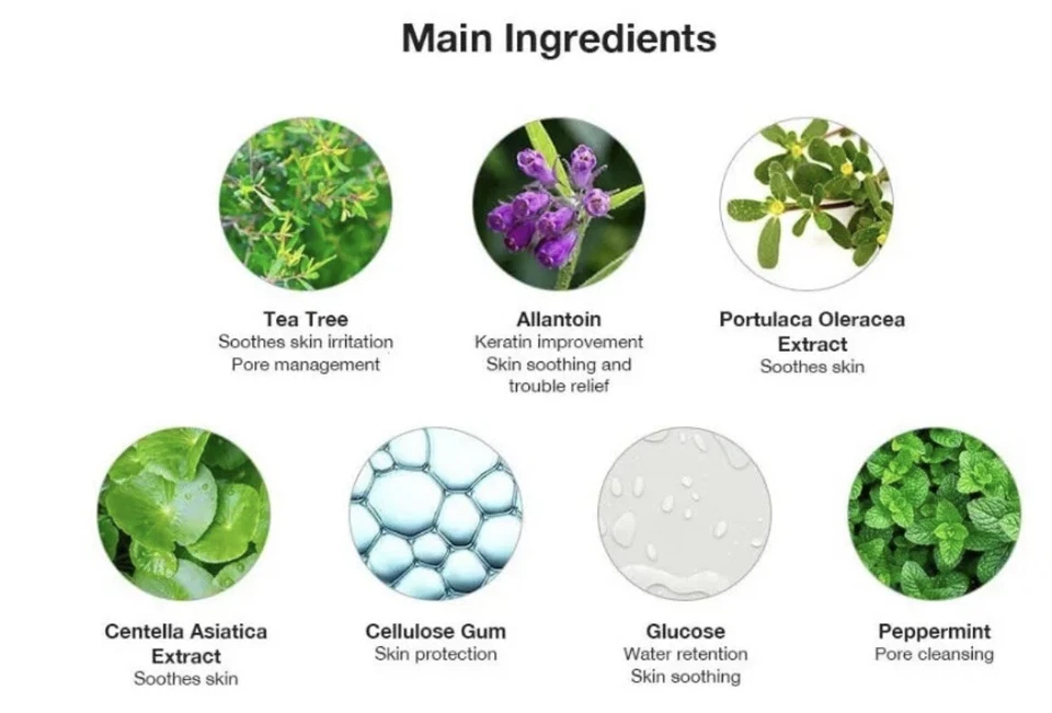 Lindsay Modeling Teatree Mask 1kg zipper bag + bowl Set - Image 3 of 4