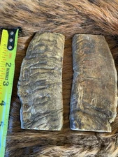 MERINO RAM HORN KNIFE HANDLE MATERIAL  Lg BLANK SCALES 5” x 2 1/8 x 3/8” (ME4)