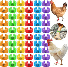 240 Pieces Chicken Leg Rings Multiple Color Identification Tag Leg Bands Plas...