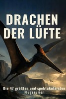 Zoe Hoffmann | Drachen Der LüFte | Taschenbuch | Deutsch (2025) | 100 S.