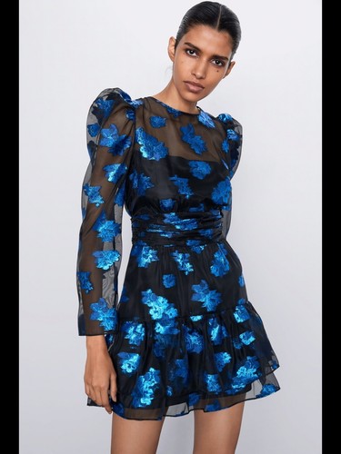 Zara Organza Floral Metallic Dress 