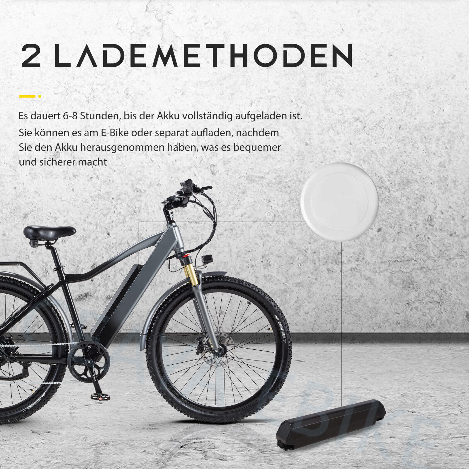 Bild 12 von 24