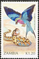 Zambia #SG639 MNH 1991 Lilac Breasted Roller [523]
