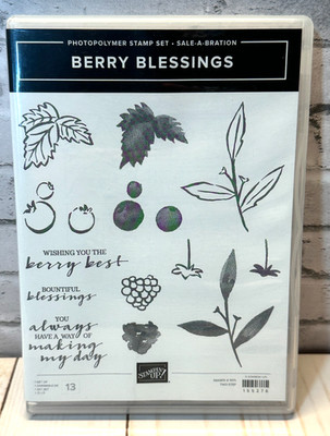 Stampin' Up! BERRY BLESSINGS Photopolymer Stamp Set Love Birthday Inspiration