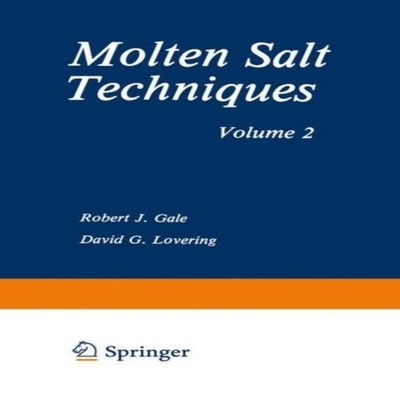 Molten Salt Techniques Volume 2 Springer Nature B.V. Paperback Sp