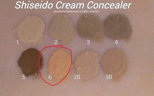 Shiseido Natural Finish Cream CONCEALER Long ...