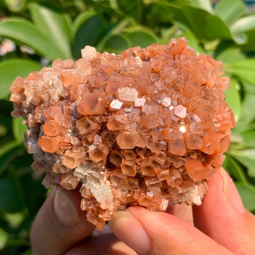 174G Aragonite Star Cluster from Morocco - natural crystal healing gemstone - Picture 9 of 15