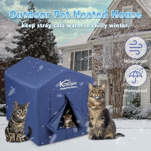 Large Heated Cat House for Outdoor Cats in Winter, Weatherproof